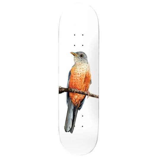 Deathwish Skateboard Deck Yuri Facchini Sabia-Laranjeira 8.125" Skateboard Deck