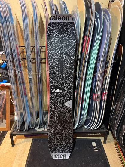 DEMO Bataleon Wallie 156